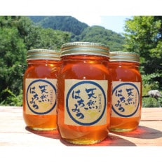 道志村産　天然はちみつ(600g×3本)