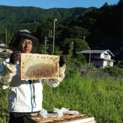 道志村産　天然はちみつ(ボトルタイプ)300g×2本