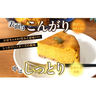 スパイス香るパンプキンチーズケーキ(1ホール)　芳醇で香り高い仕上がり　大人のチーズケーキ