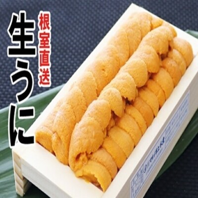 【年内配送】エゾバフンウニ(黄系)140g×1折 C-53020