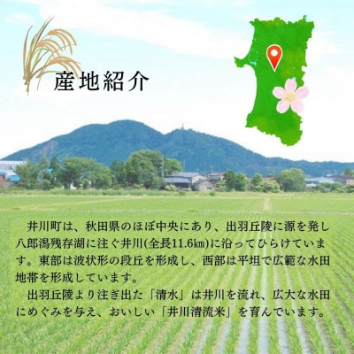 【令和4年産】秋田県井川町産あきたこまち精米10kg