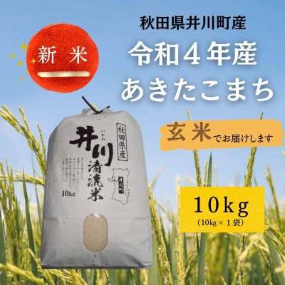 【令和4年産】秋田県井川町産あきたこまち玄米10kg×1
