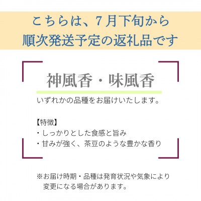 【先行受付】枝豆1kg　秋田県井川町産　7月下旬より順次発送