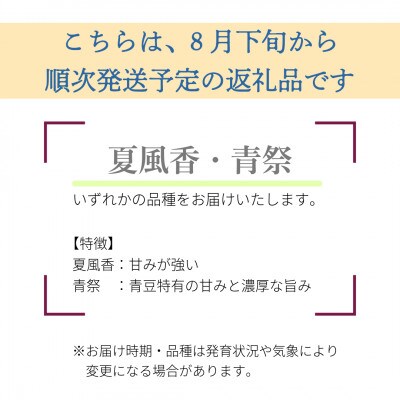【先行受付】枝豆1kg　秋田県井川町　8月下旬より順次発送