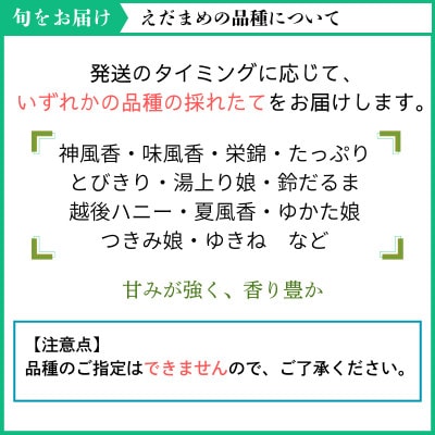 【さとふる限定】えだまめ 計4kg 秋田県 井川町産  [訳あり無選別品]