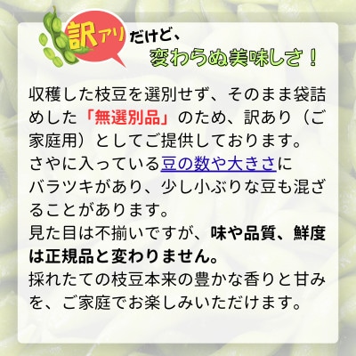 【さとふる限定】えだまめ 計4kg 秋田県 井川町産  [訳あり無選別品]