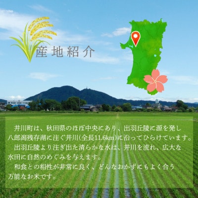 【令和6年産】秋田県井川町産あきたこまち　精米10kg