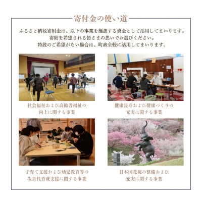 【令和6年産】秋田県井川町産あきたこまち　精米10kg