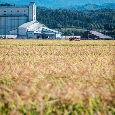 【令和7年産先行受付】あきたこまち(精米)5kg　秋田県井川町産