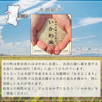 [新米先行予約] 令和8年産  あきたこまち 白米 10kg(5kg×2袋)秋田県井川町産