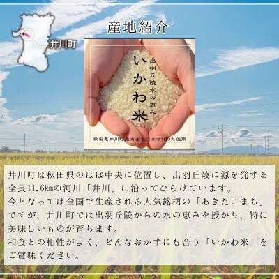 【毎月定期便】秋田県 井川町産 あきたこまち 「いかわ米」  白米 5kg全2回