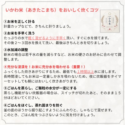 【毎月定期便】秋田県 井川町産 あきたこまち 「いかわ米」  白米 5kg全2回
