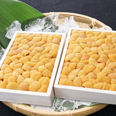 【年内配送】【北海道根室産】エゾバフンウニバラ詰め150g×2折 D-53038
