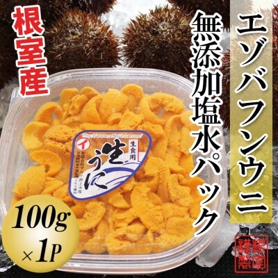 【年内配送】【北海道根室産】エゾバフンウニ塩水パック100g×1P C-53016