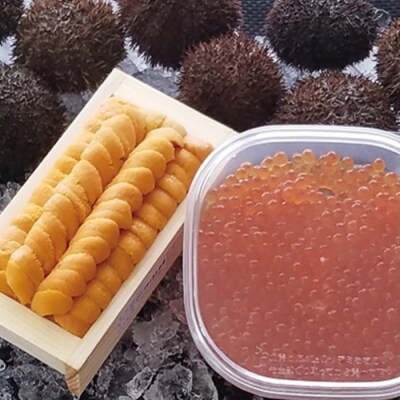【年内配送】【北海道根室産】エゾバフンウニ140g×1折、いくら醤油漬150g×1P D-71026