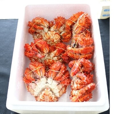 【年内配送】【北海道根室産】エゾバフンウニ塩水パック1P、花咲かに5尾 D-71033