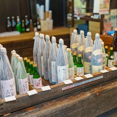 純米酒「半布里戸籍」・本醸造酒「加治田城」2本セット
