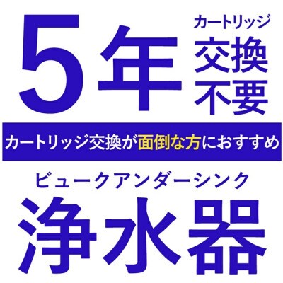 アンダーシンク 浄水器 | 5年交換|専用水栓付 ビューク ドリームバンク ビルトイン