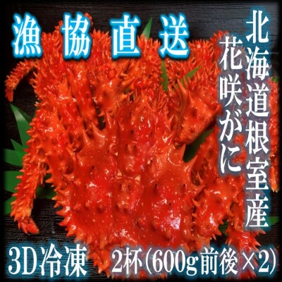 【年内配送】【北海道根室産】花咲がに600g前後×2尾 B-20001