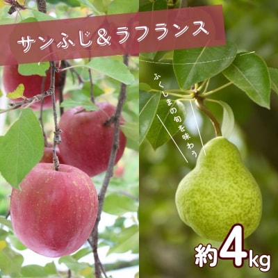 りんご「サンふじ・ラフランス詰合せ」約4kg化粧箱入【2025年度発送】 No.0791