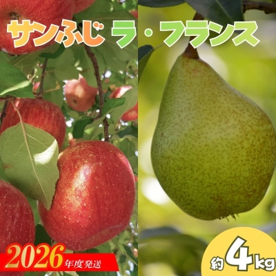  りんご「サンふじ・ラフランス詰合せ」約4kg化粧箱入【2026年度発送】No.0791