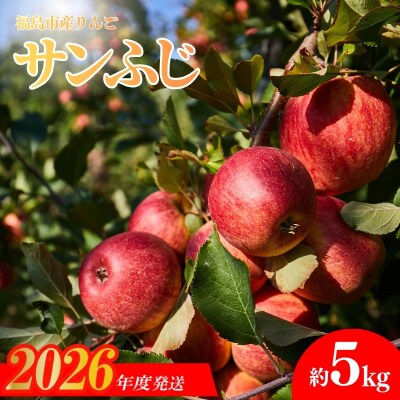  りんご「サンふじ」　約5kg【2026年度発送】No.0215