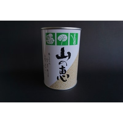 たけのこ 缶詰(根曲り筍)1缶No.0211