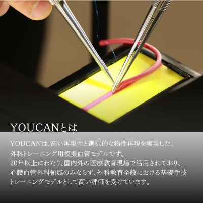 手術訓練用血管モデル　YOUCAN-SD-EX　No.0715