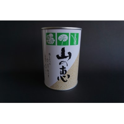 たけのこ 缶詰(根曲り筍)2缶セットNo.0549
