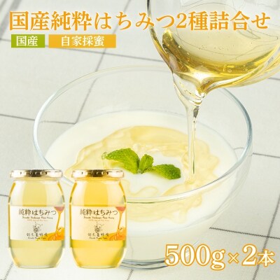 国産純粋はちみつ2種詰合せ500g×2本No.0087