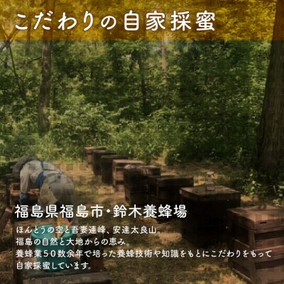 国産純粋はちみつ2種詰合せ500g×2本No.0087