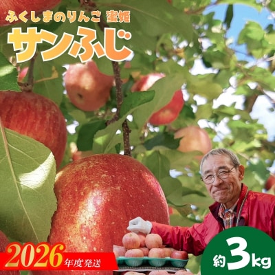  ふくしまのりんご蜜姫「サンふじ」約3kg化粧箱入【2026年度発送】No.0787