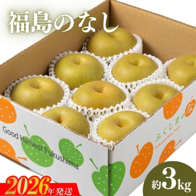  【2026年発送　先行受付】福島のなし　約3kg(幸水または豊水)No.2042
