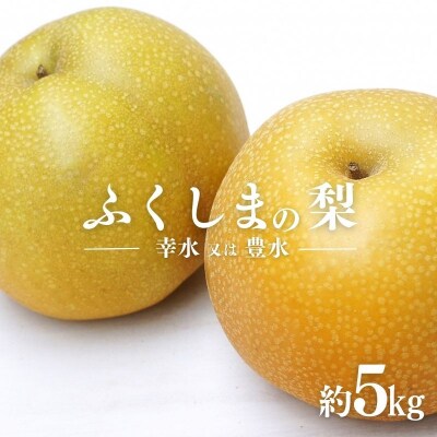 ふくしまの梨 約5kg(幸水または豊水) 【2025年 先行受付】No ふくしまの梨 約5kg(幸水または豊水) 【2025年 先行受付】No