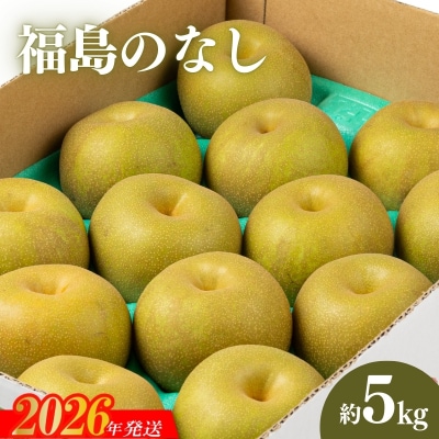  【2026年発送　先行受付】福島のなし　約5kg(幸水または豊水)No.2043