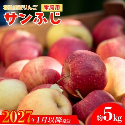  りんご 「サンふじ」家庭用 約5kg【2027年1月より発送】No.2065