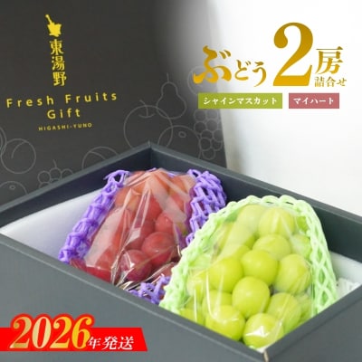 ぶどう　シャインマスカット&マイハート2房詰め合わせ　化粧箱入【2026年12月発送】No.1142