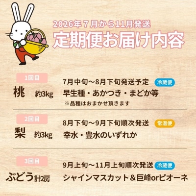 フルーツ3種 定期便 桃 梨 ぶどう【2026年発送 先行受付】No.2032