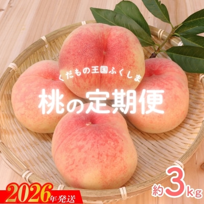 福島のもも 約3kg 定期便3回　【2026年発送　先行受付】No.2026