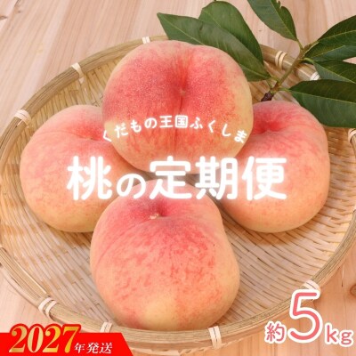 福島のもも 約5kg 定期便3回_ME-2【2027年発送】No.2027
