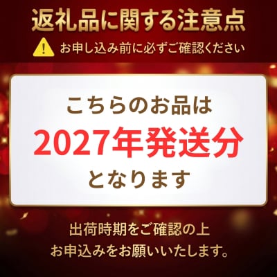 福島のフルーツ詰め合わせ(桃・梨・シャインマスカット・黒ぶどう)【2027年発送】No.2056