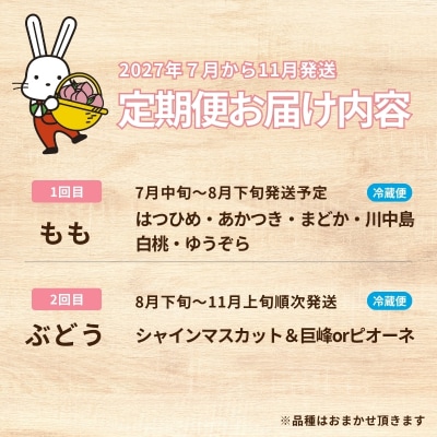 福島のフルーツ2種定期便(もも・ぶどう)【2027年発送】No.2034