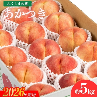 【2026年発送 先行受付】福島のもも あかつき 約5kgNo.2041