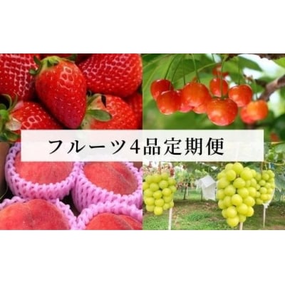 春のいちごから始まる果物4品 定期便【2025年発送】No.1603