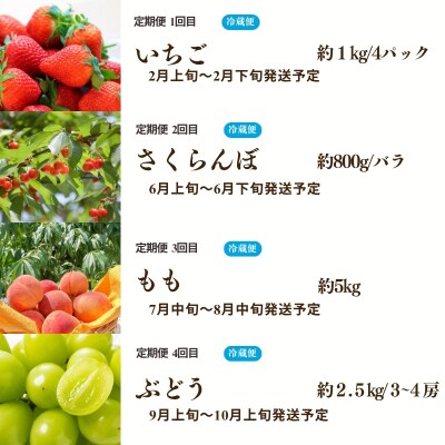 福島のフルーツ4品定期便【2027年発送】No.1603