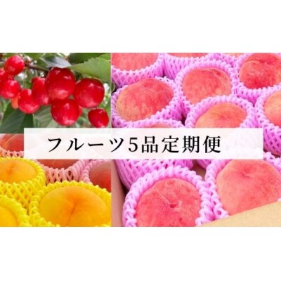フルーツ5品定期便 さくらんぼ/もも【2025年発送】No.1607