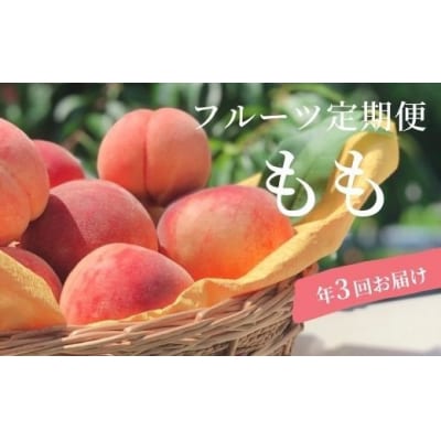 厳選!福島の桃 3種定期便 各約2kg【2025年発送】No.1621
