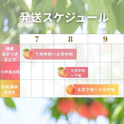 厳選!福島の桃3回定期便_EC-1【2027年発送】No.1621