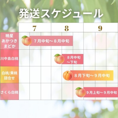 厳選!福島の桃4回定期便_EC-3【2027年発送】No.1624