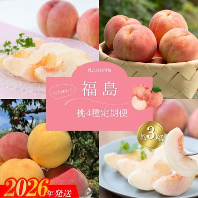 福島のもも4種定期便 各約3kg 【2026年発送　先行受付】No.1625